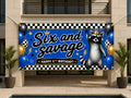 Blue Raccoon 6th Banner