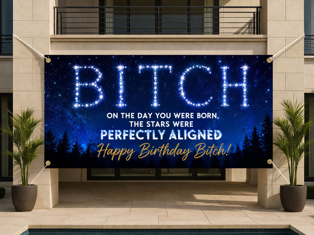 Funny Birthday Banner, Stars Aligned Party Sign, Photo Backdrop