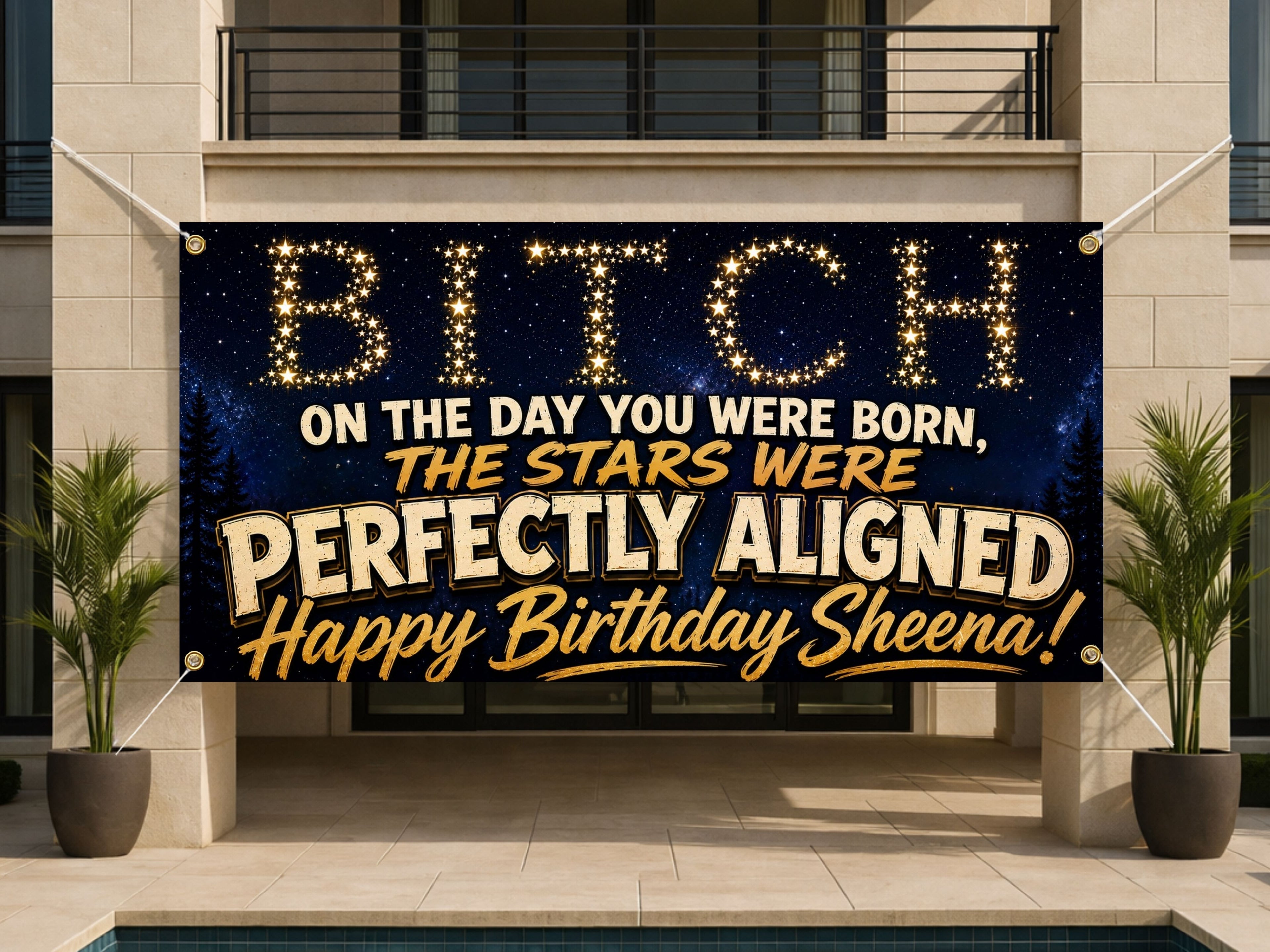 Funny Birthday Banner, Stars Aligned Party Sign, Photo Backdrop