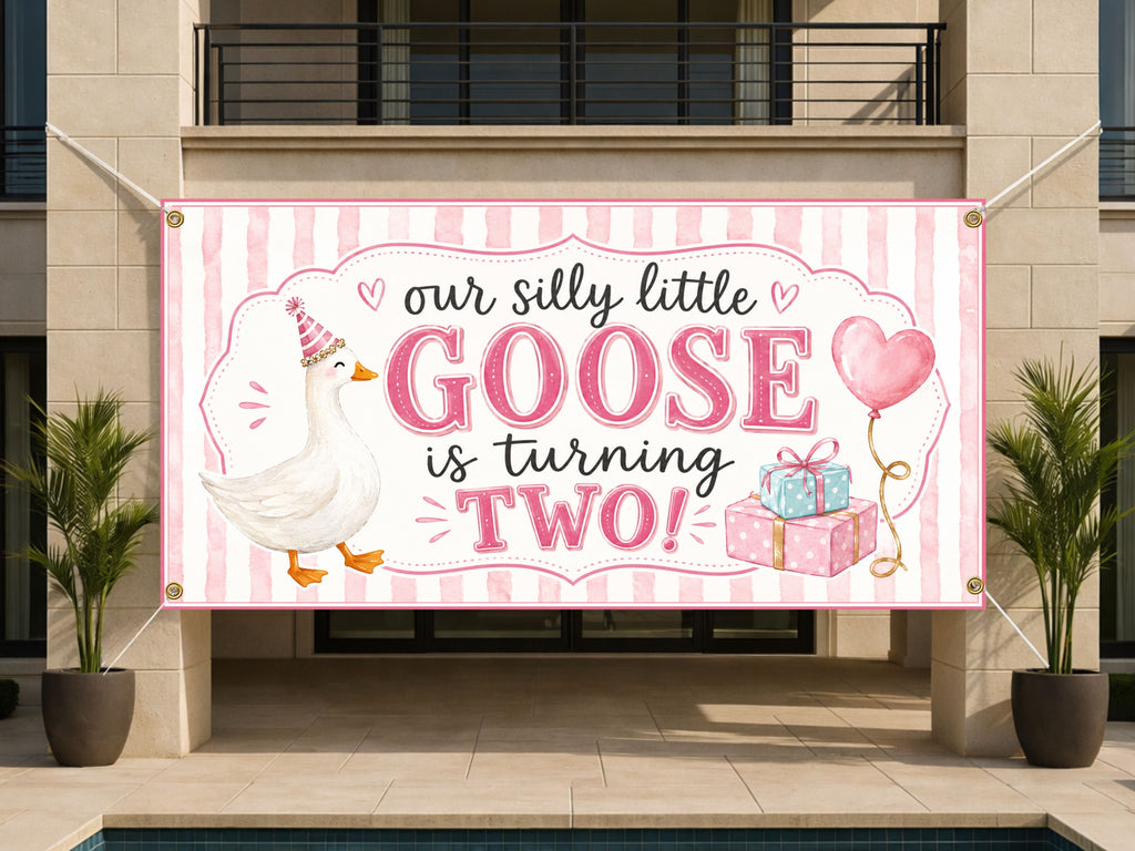 Silly Goose 2nd Banner