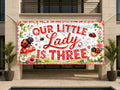 Ladybug 3rd Birthday Banner