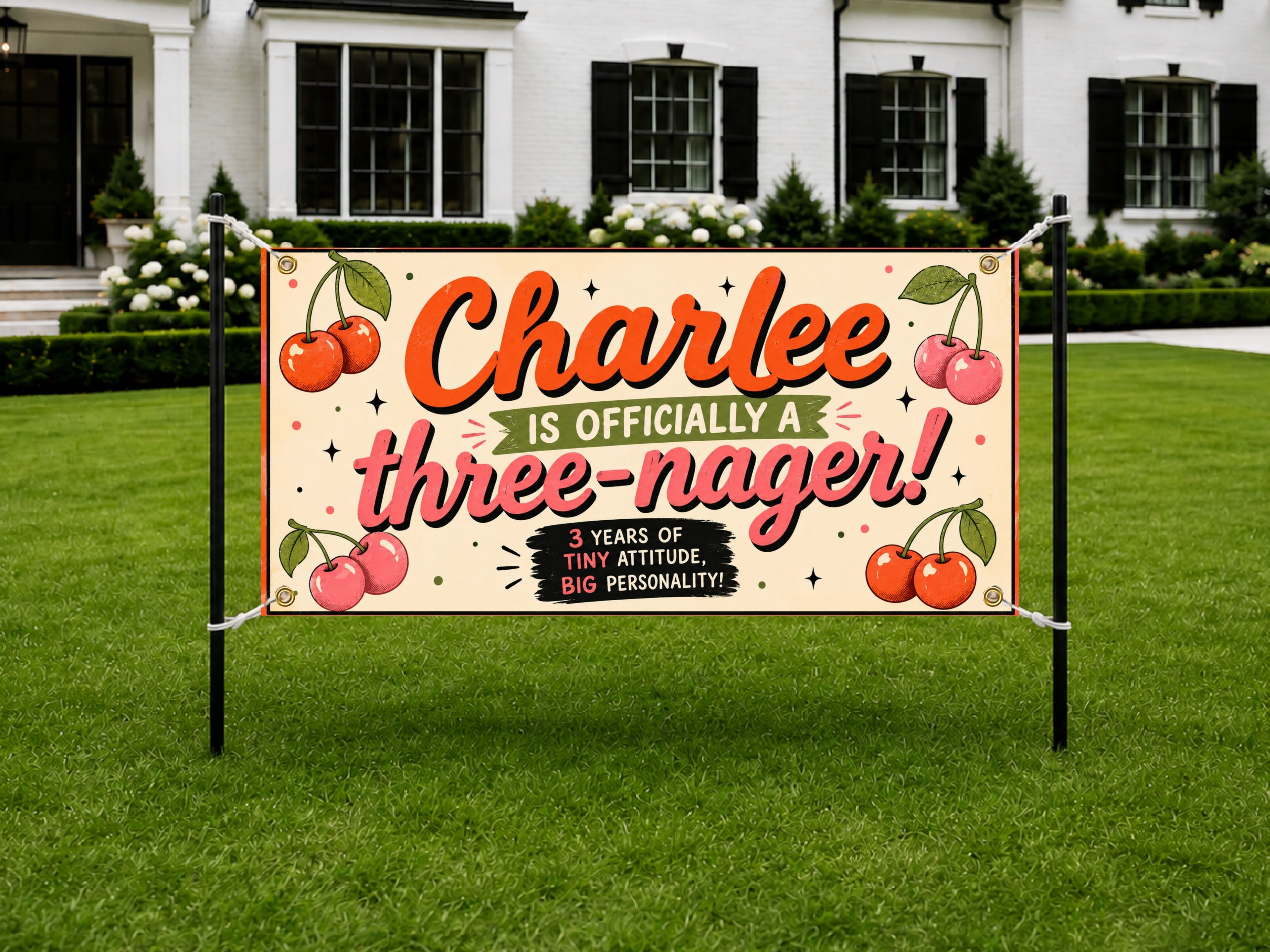 Three-nager Birthday Banner, 3rd Birthday Party Decor, Cherry Theme Birthday Sign, Three Year Old Celebration