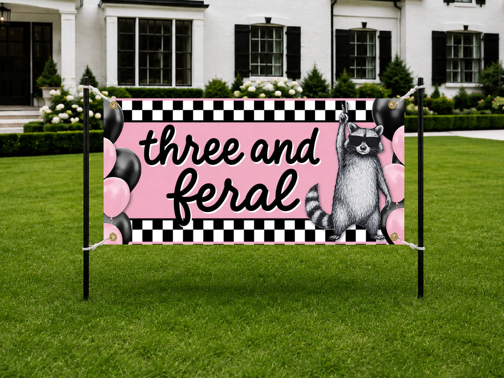 Funny 3rd Birthday Banner, Raccoon Party Sign, Girl Backdrop