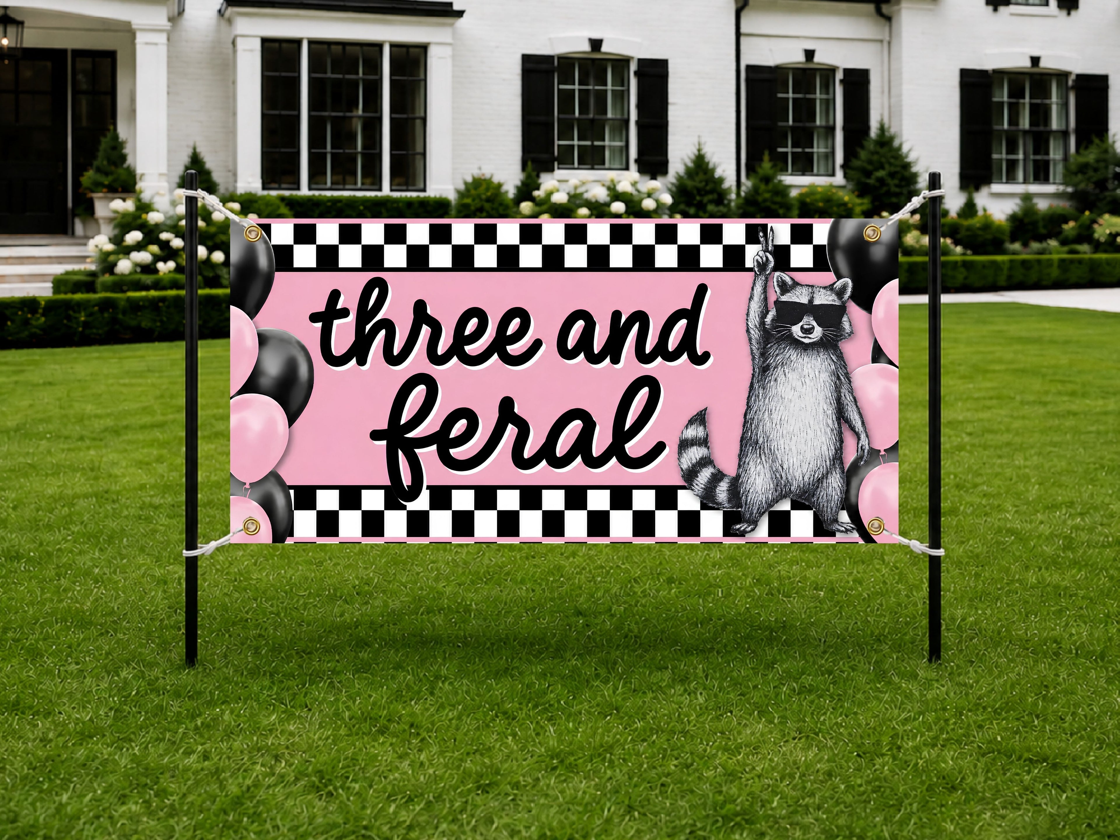 Funny 3rd Birthday Banner, Raccoon Party Sign, Girl Backdrop