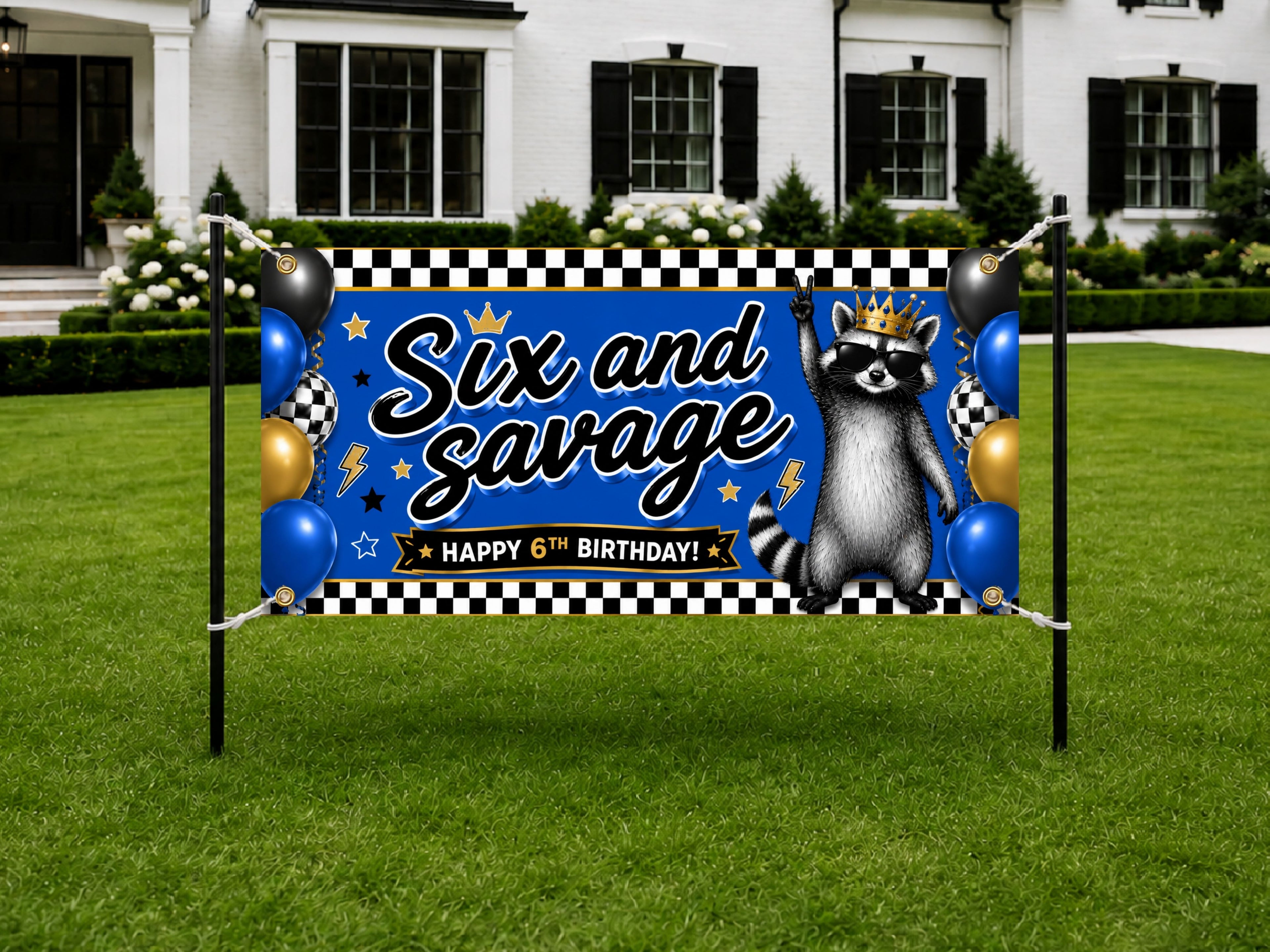 Six and Savage Birthday Banner, 6 Year Old Funny Raccoon Birthday Party Decor