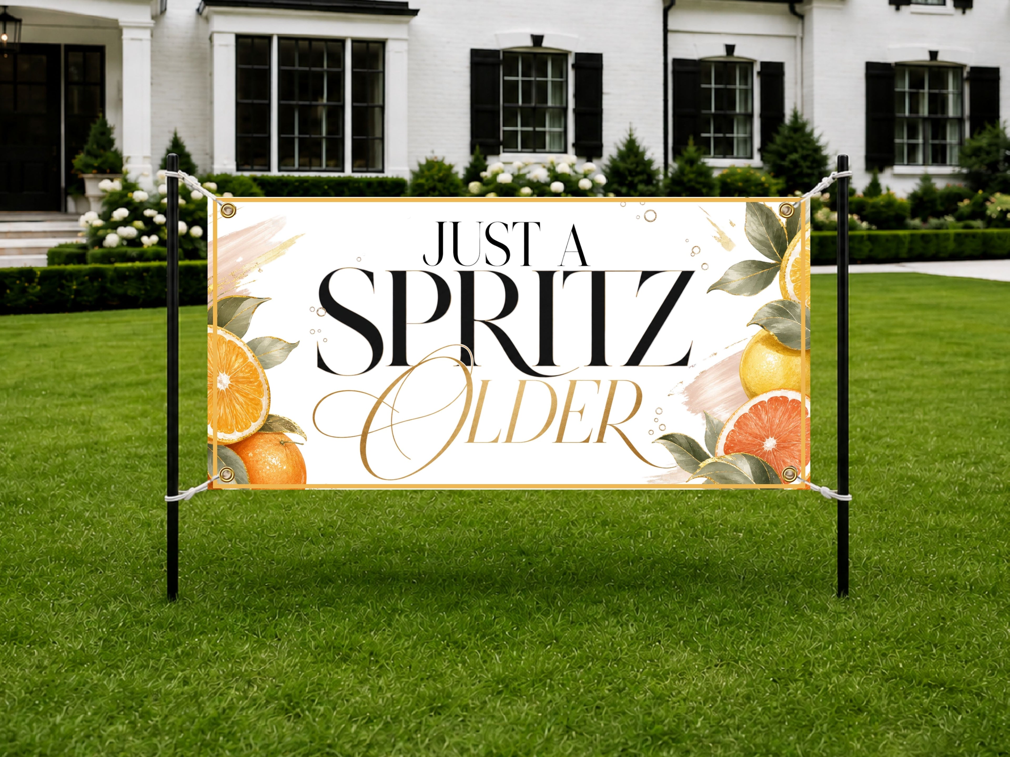 Birthday Banner, Spritz Party Sign, Cocktail Birthday Backdrop