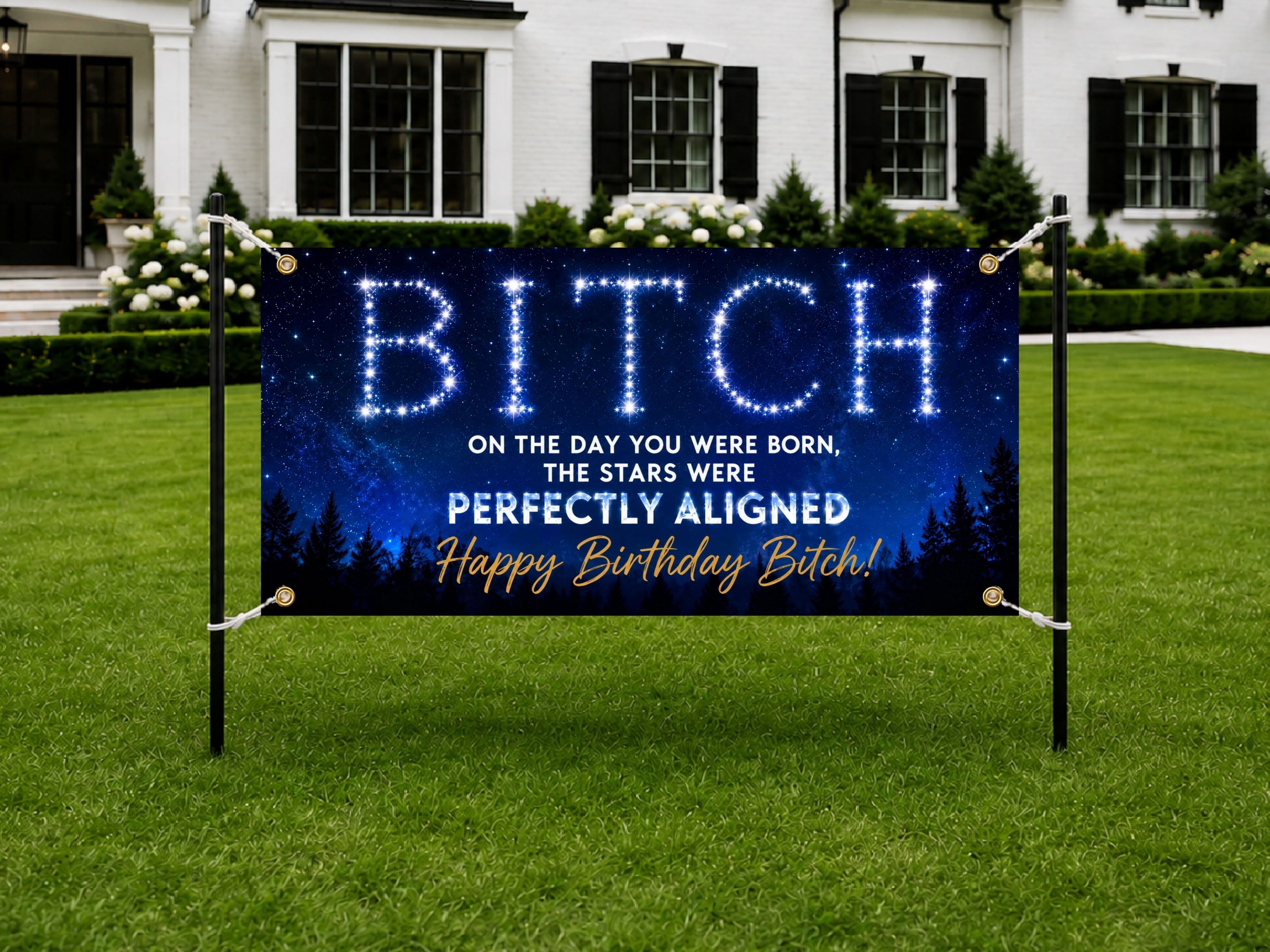 Funny Birthday Banner, Stars Aligned Party Sign, Photo Backdrop