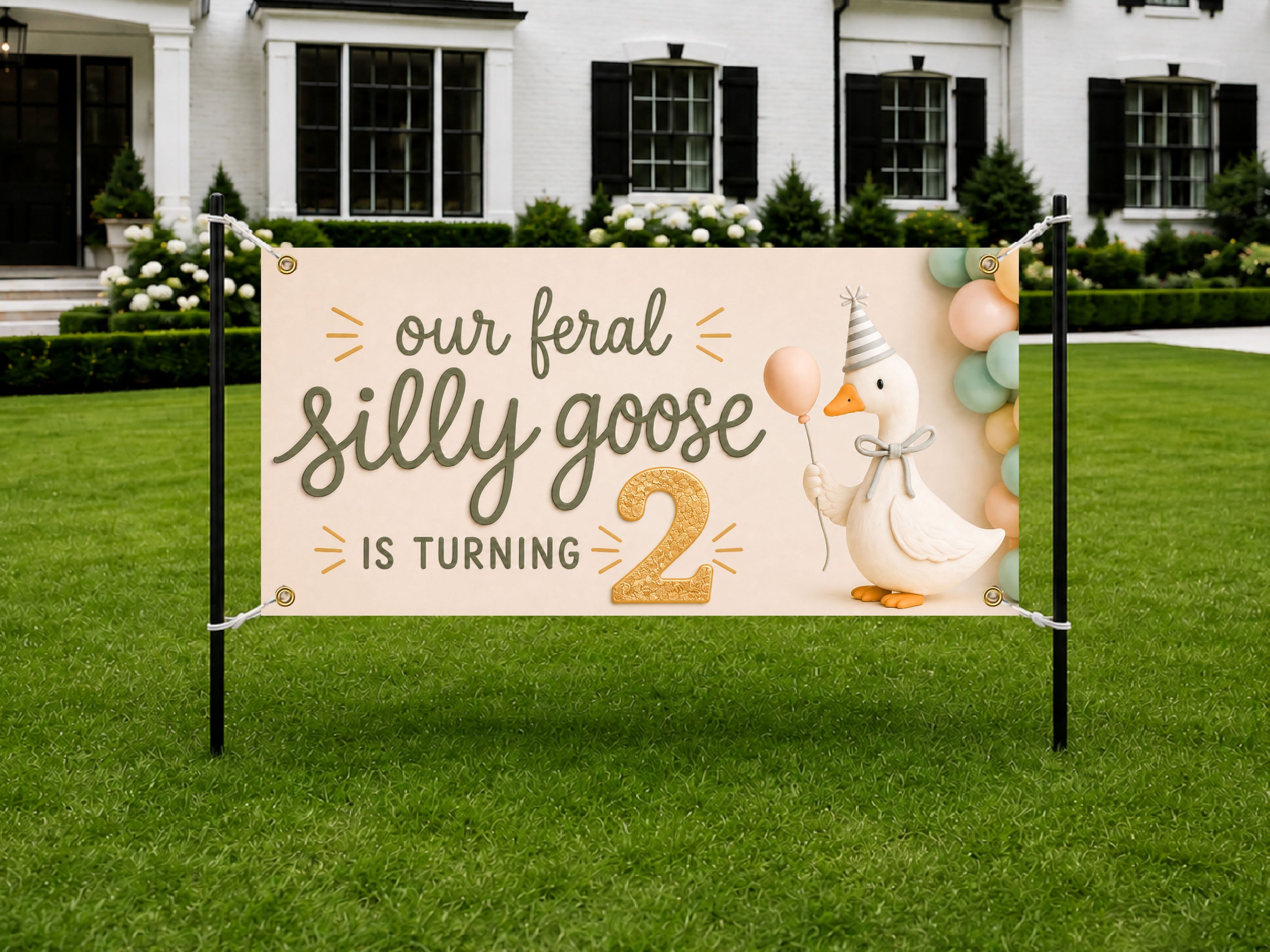 Funny 2nd Birthday Banner, Silly Goose Party Sign, Toddler Backdrop