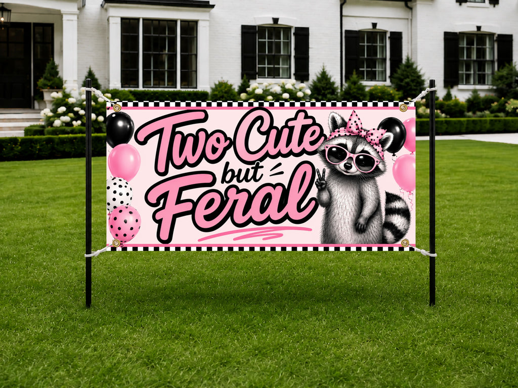 Funny 2nd Birthday Banner, Raccoon Party Sign, Girl Backdrop