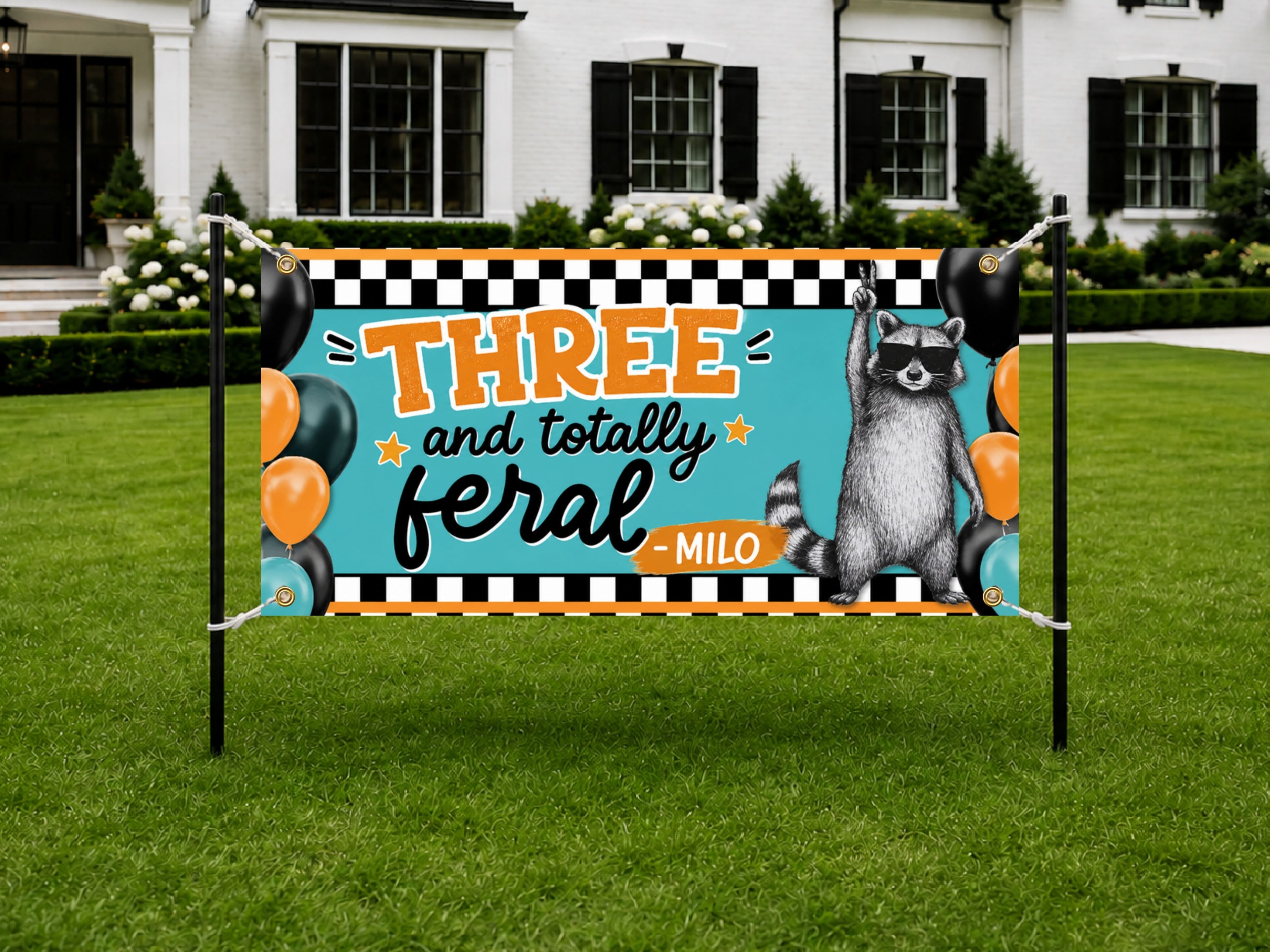Funny 3rd Birthday Banner, Raccoon Party Sign, Boy Backdrop