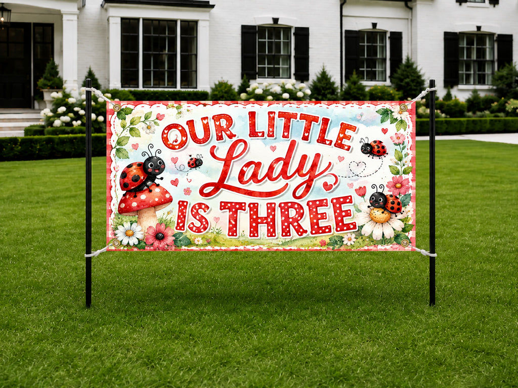 Ladybug 3rd Birthday Banner
