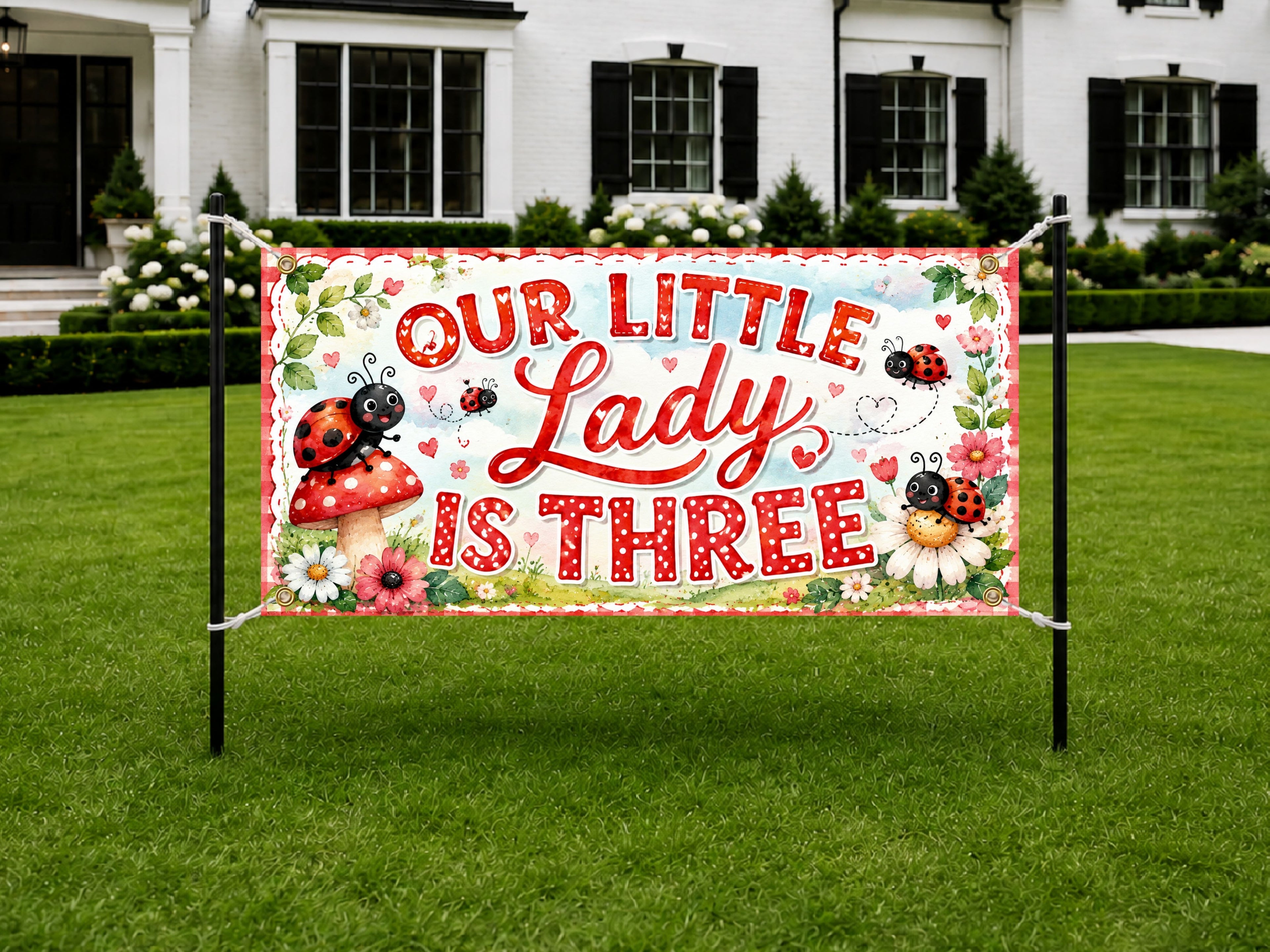 Ladybug 3rd Birthday Banner