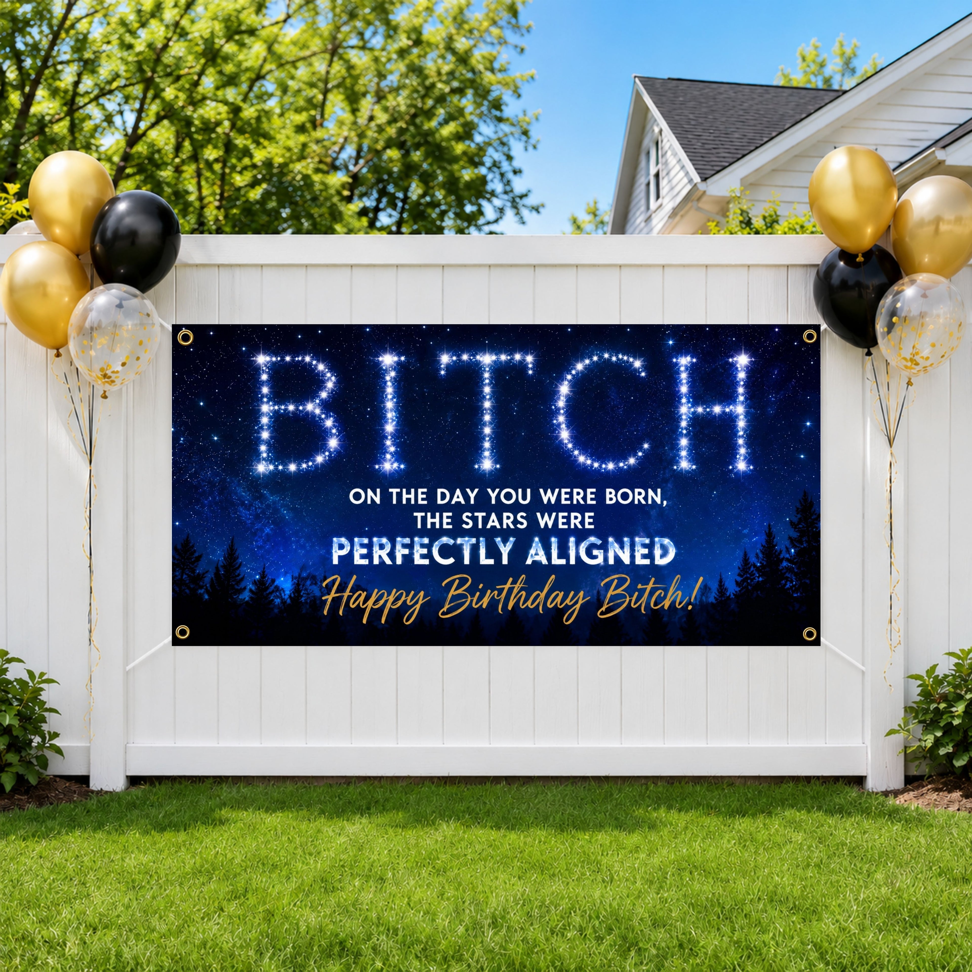 Funny Birthday Banner, Stars Aligned Party Sign, Photo Backdrop