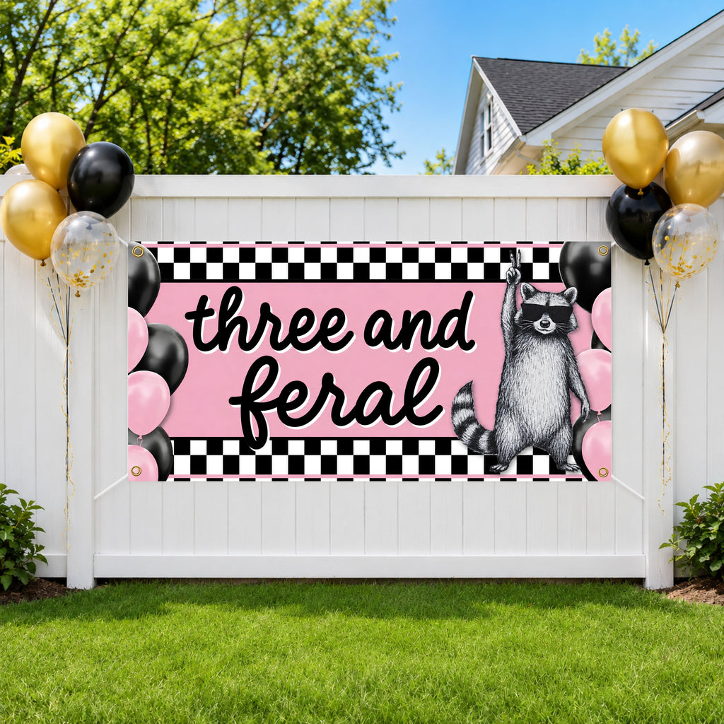 Funny 3rd Birthday Banner, Raccoon Party Sign, Girl Backdrop